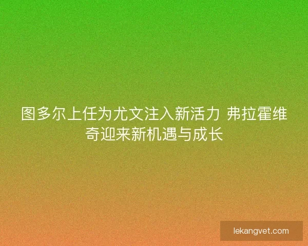 图多尔上任为尤文注入新活力 弗拉霍维奇迎来新机遇与成长