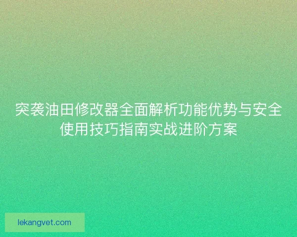 突袭油田修改器全面解析功能优势与安全使用技巧指南实战进阶方案