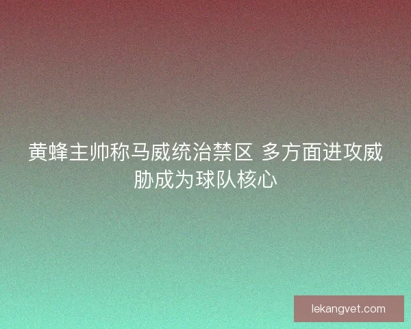 黄蜂主帅称马威统治禁区 多方面进攻威胁成为球队核心